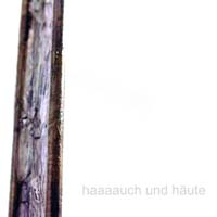 01_haaaauch_und_haeute