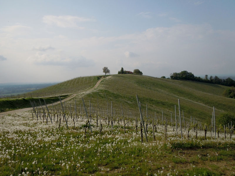 03_DSCN8161