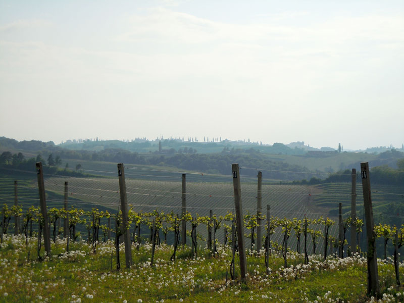 11_DSCN7876