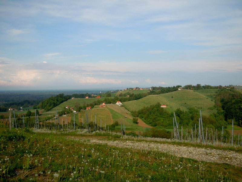 15_DSCN7869