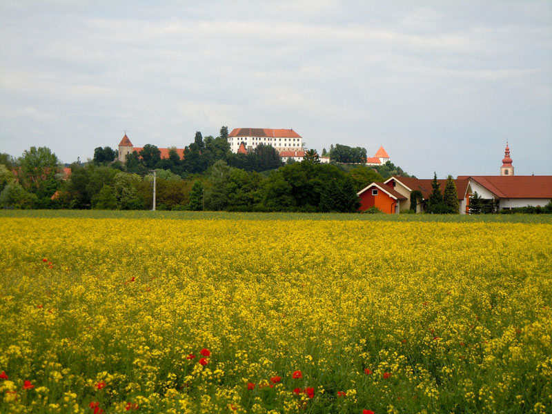 2011_05_17_1454__ptuj