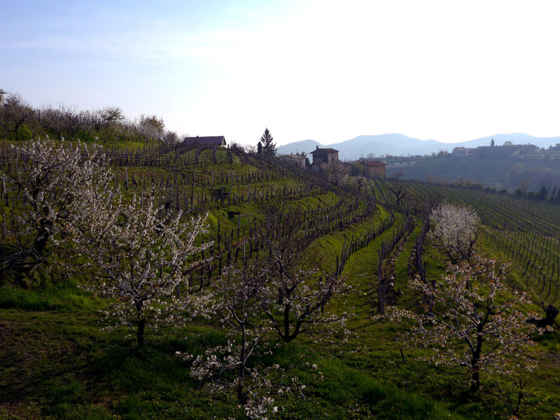 2015_04_09_1755__medana