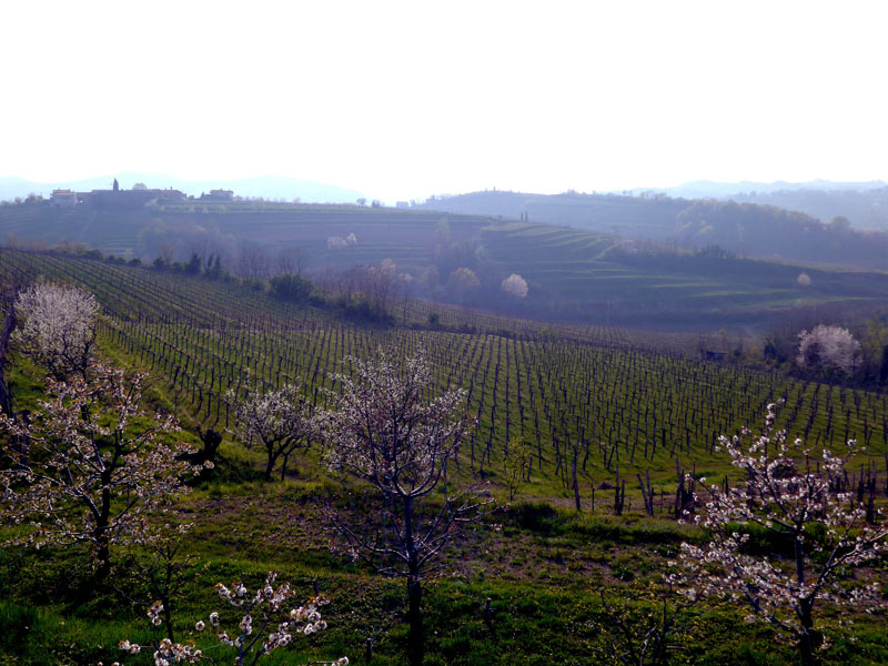 2015_04_09_1756__medana