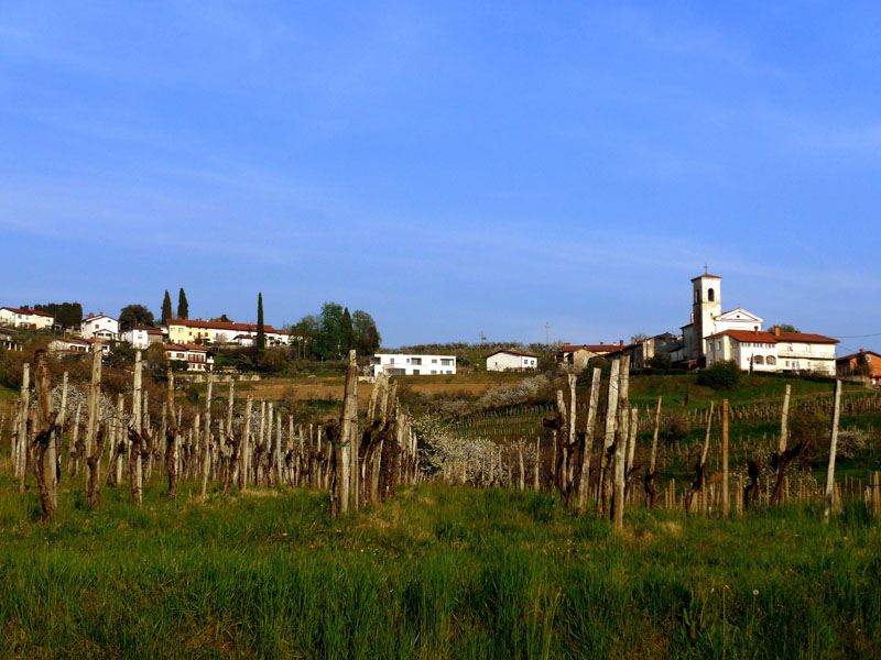 2015_04_09_1806__vipolze