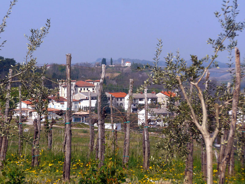 2015_04_10_1019__dobrovo__brdice_pri_neblem