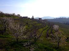 2015_04_09_1755__medana