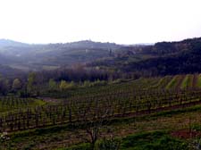 2015_04_09_1756__medana_fojana
