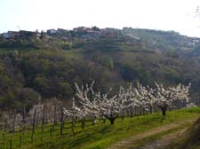 2015_04_10_0950__kozana