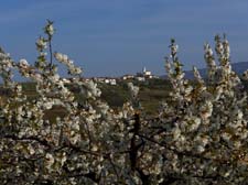 2015_04_10_0950__vedrijan