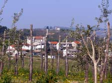 2015_04_10_1019__dobrovo__brdice_pri_neblem