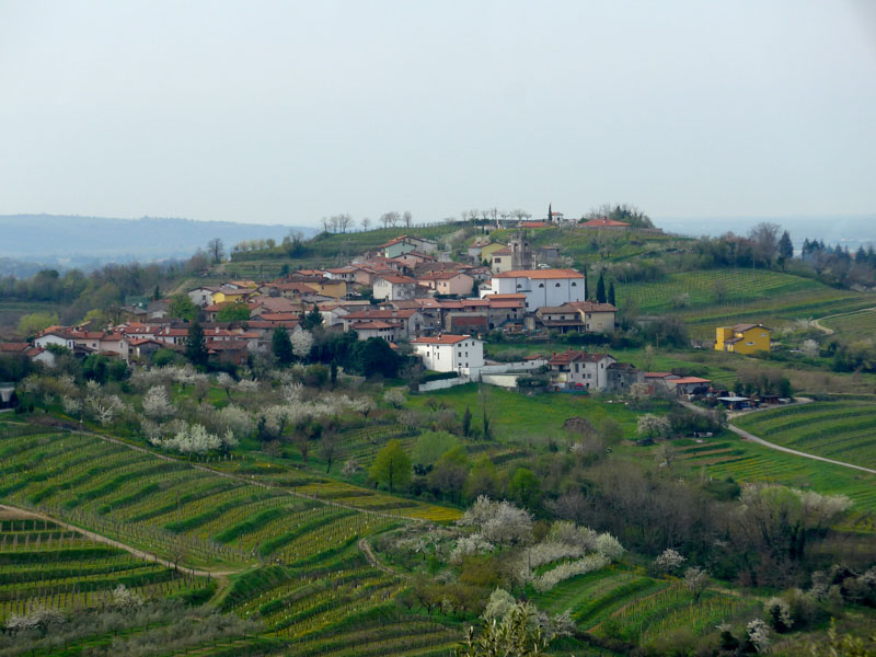 01__kozana__goriska_brda