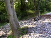 08_muehlbach