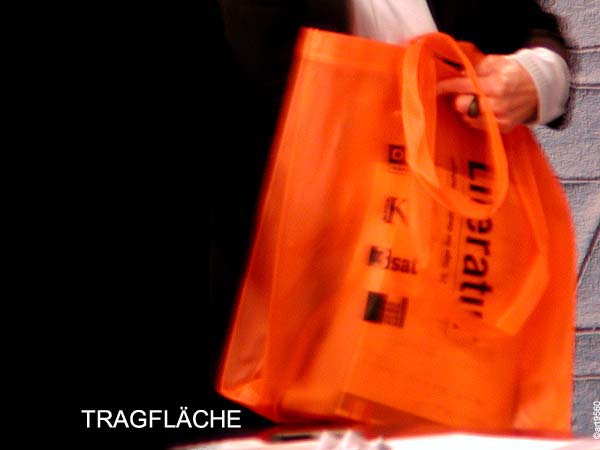 19_tragflaeche
