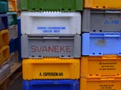 02__svaneke