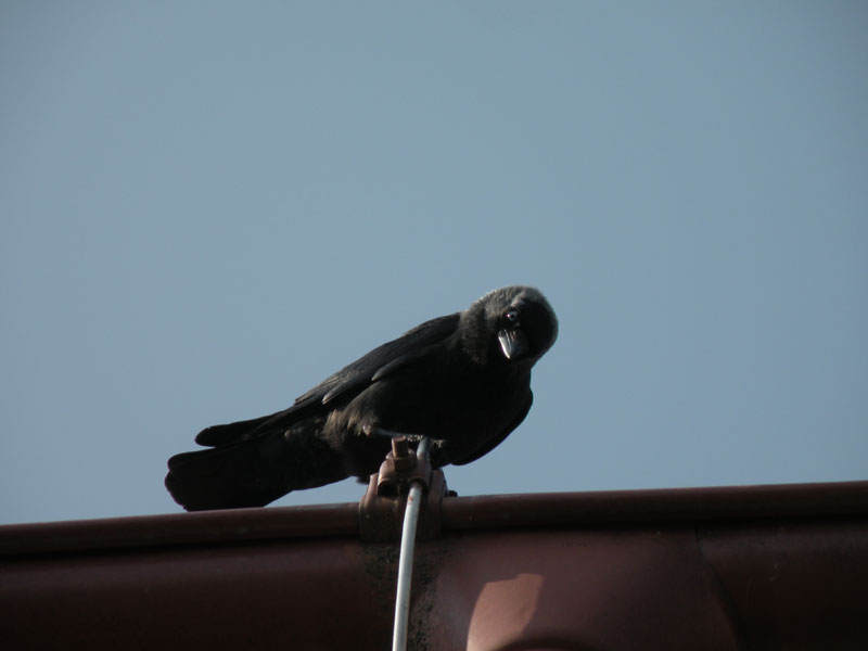DSCN2759