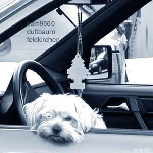 005_2001_08_10_duftbaum