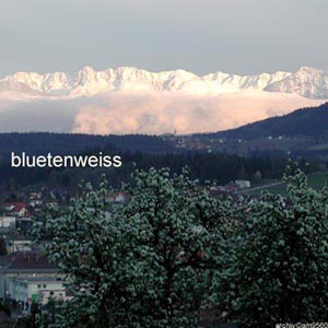 201_2002_04_29_bluetenweiss