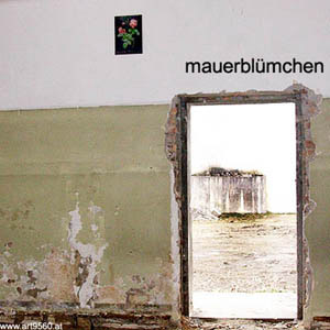 769_2004_05_21_mauerbluemchen