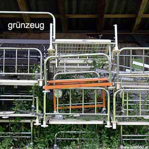 814_2004_08_03_gruenzeug