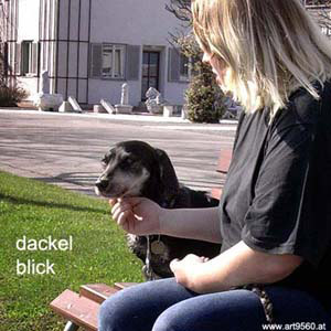 941_2005_04_14_dackelblick