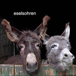 959_2005_05_07_eselsohren