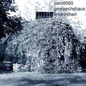 053_2001_10_09_gewaechshaus