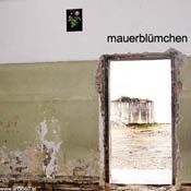 769_2004_05_21_mauerbluemchen