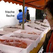 999_2005_12_15_frischefische
