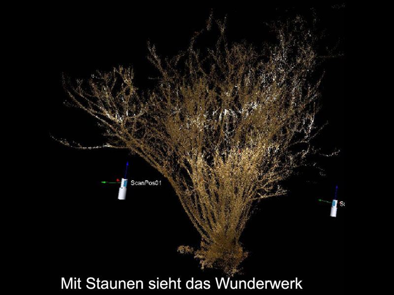2009_01_30_die_schoepfung_im_haydnjahr