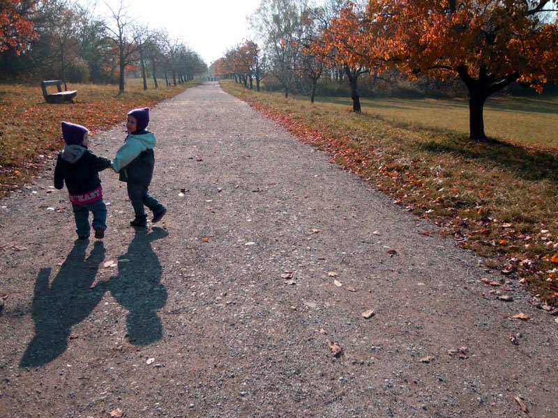 2010_10_30_herbst
