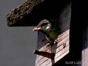 2008_06_01_ausflug