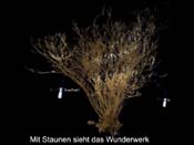 2009_01_30_die_schoepfung_im_haydnjahr