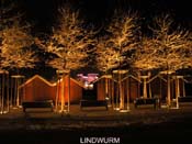 2010_01_08_lindwurm