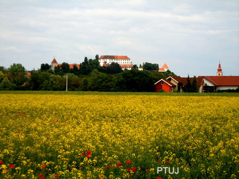 2011_05_17_ptuj