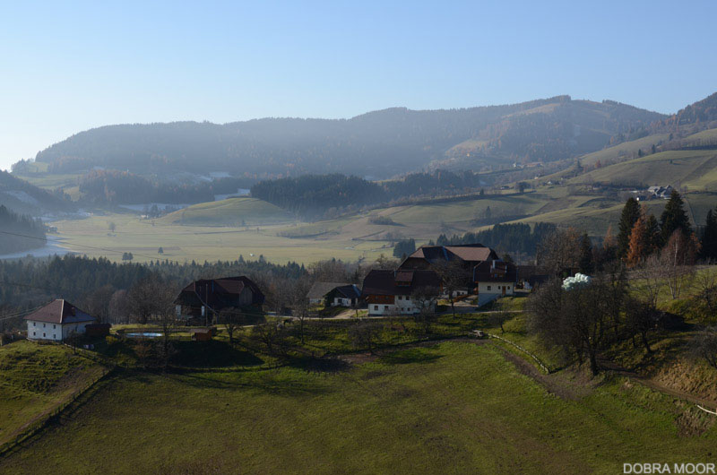 2011_11_17_dobra_moor
