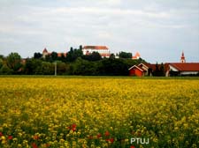 2011_05_17_ptuj