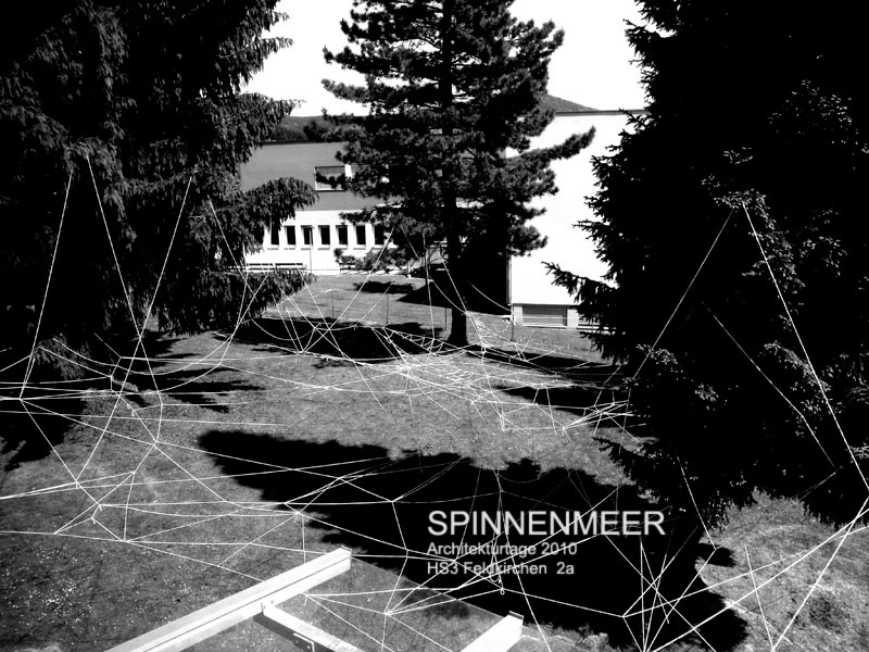 2010_05_28__spinnenmeer