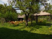 DSCN3775
