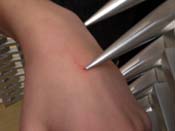 07_DSCN0209