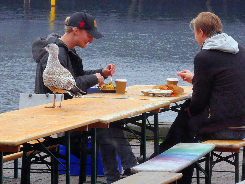 09__2016_10_31__papiroeen__street_food_copenhagen