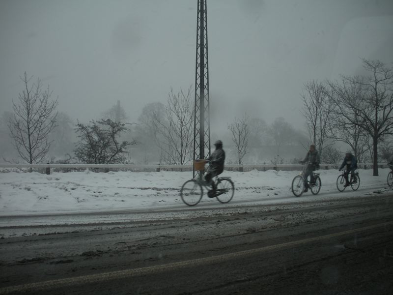 05__2010_02_18_1612__kopenhagen__amager_boulevard__snowbiking