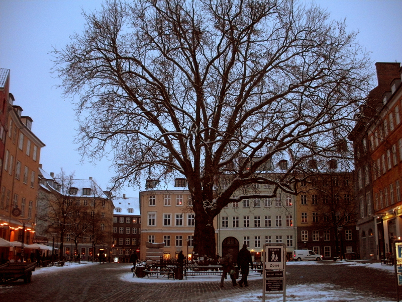 20__2010_02_23_1725__kopenhagen__graabroedretorv