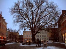 20__2010_02_23_1725__kopenhagen__graabroedretorv