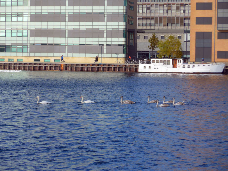 2016_10_29_1221__koebenhavns_havn