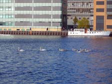2016_10_29_1221__koebenhavns_havn