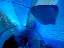 49__der_blaue_planet
