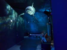 51__der_blaue_planet