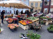 15_2014_03_15_1347__kultorvet
