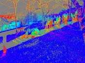 13_DSCN0918