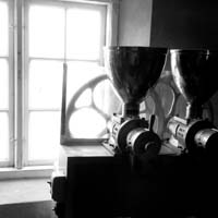 11_R0012273